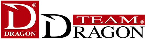 Logo-Dragon